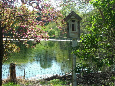 Birdhouse with Flowering Crab near pond