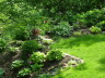 Backyard shade garden in May