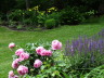 Lower gardens early June