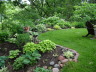 Backyard Shade Garden