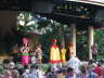Show at the Luau
